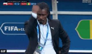 世界杯非洲最好成绩